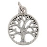 Médaille moulée ou frappée en métal couleur argentée Ø 1.5 cm. Plusieurs saints.